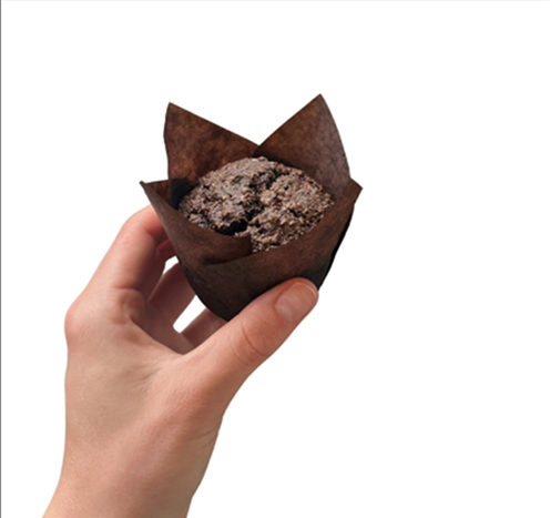 Chocolate Zucchini
